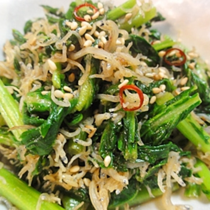 からし菜のじゃこ炒め レシピ 作り方 By Leopoo 楽天レシピ